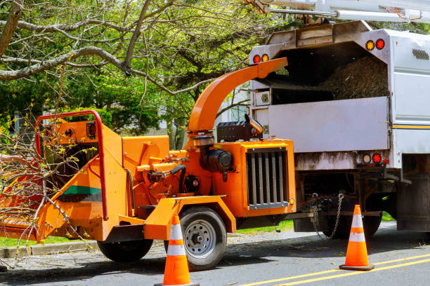 Best Firewood Processing and Delivery  in Sneedville, TN
