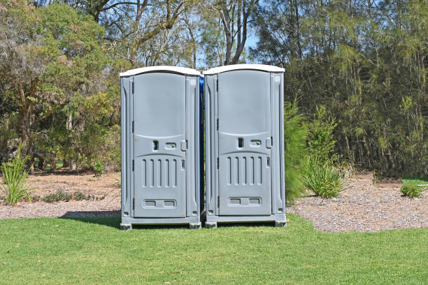Best Lawn Mowing  in Sneedville, TN